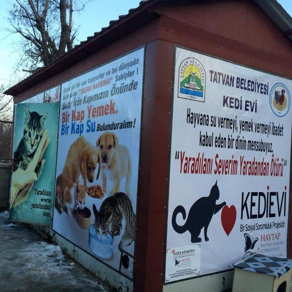 Haytap 2015 ?Takvim ?Geliri Bitlis’te Kedi Evi Oldu