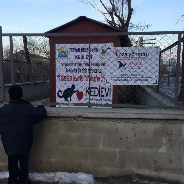 Haytap 2015 ?Takvim ?Geliri Bitlis’te Kedi Evi Oldu