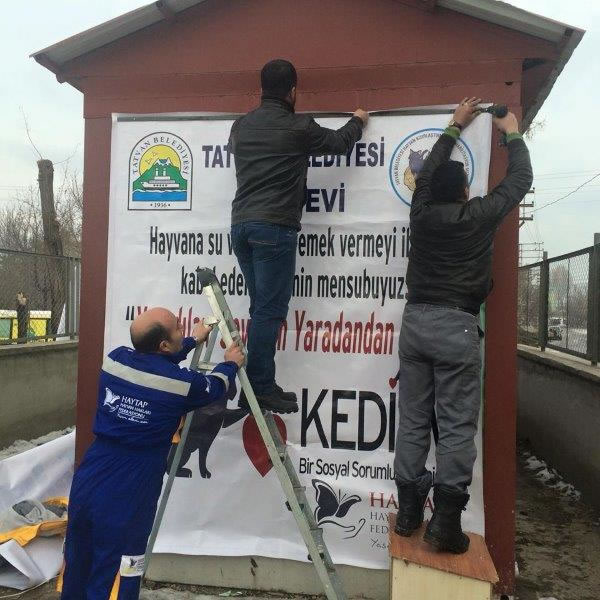 Haytap 2015 ?Takvim ?Geliri Bitlis’te Kedi Evi Oldu