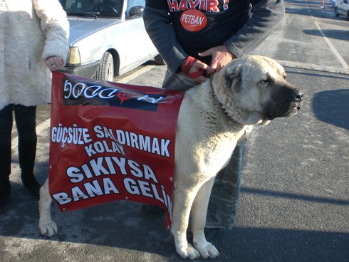 HAYTAP, 17 Ocak Kürk’e Hayır Etkinliği