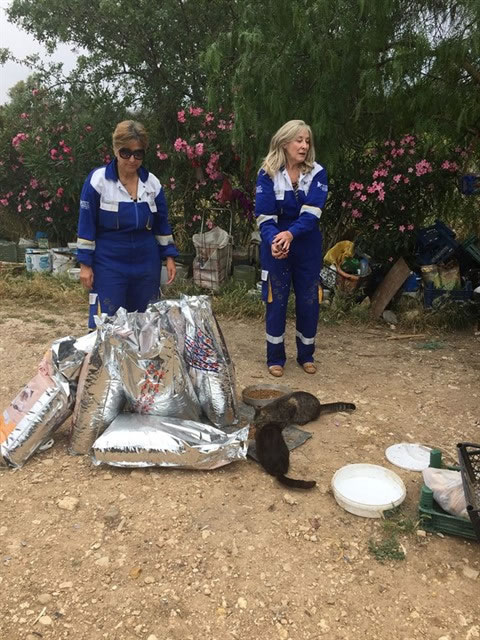 Haytap ve Petlebi İşbirliği ile Urla’daki Canlara Ulaşan Mama Bağışları