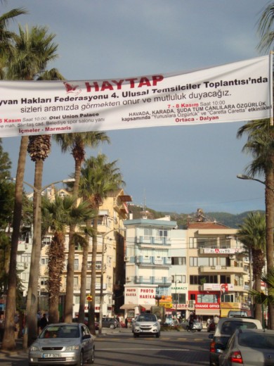 HAYTAP  4. Ulusal Temsilciler Toplantımız Marmaris ve Dalyan’da