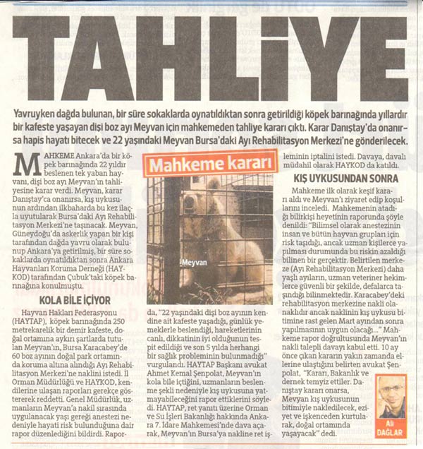 Meyvan İçin Tahliye Kararı Çıktı  - Hürriyet Gazetesi