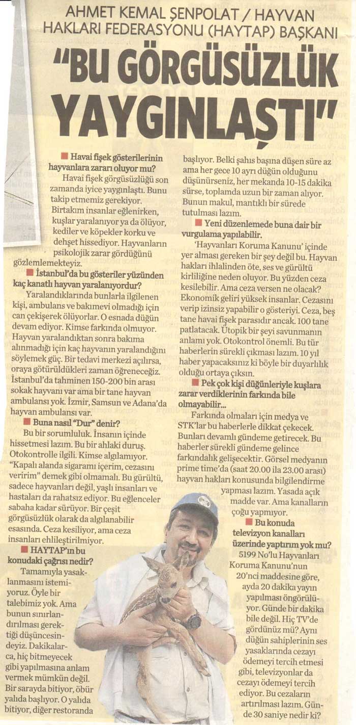 Havai Fişekler - Milliyet Gazetesi