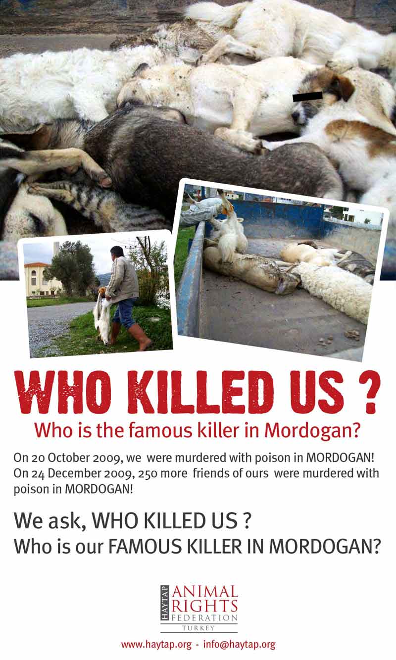 Who Killed Us ?