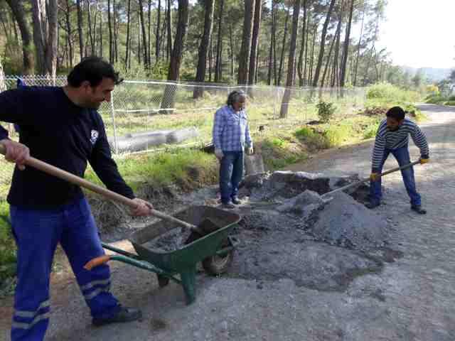 Haytap 2014 Takvim Geliri Ortaca Köpeklerine Yeni Yaşam Alanı Oldu