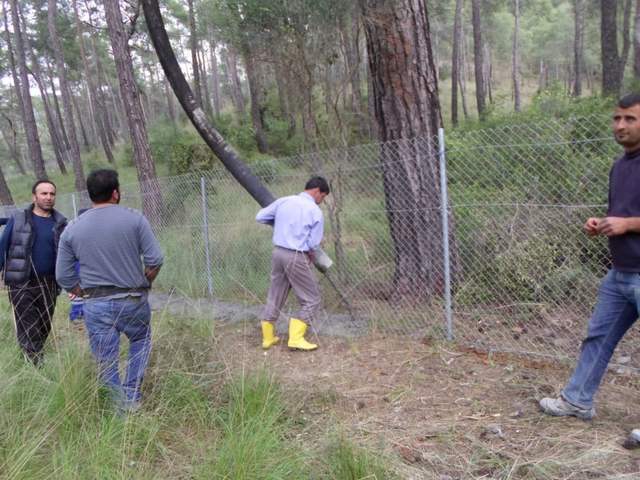 Haytap 2014 Takvim Geliri Ortaca Köpeklerine Yeni Yaşam Alanı Oldu