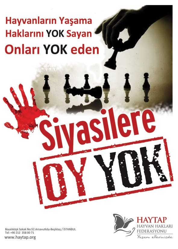 Hayvanların Yaşama Hakkını Yok Eden  ’’Siyasilere Oy Yok’’