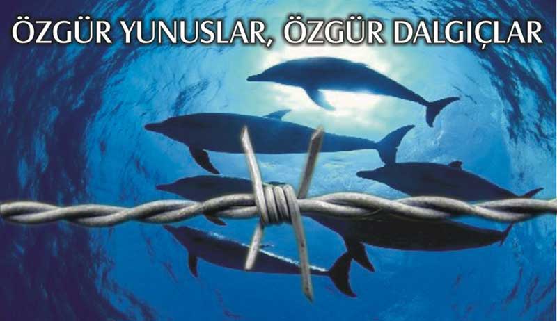 HAYTAP ’’Tutsak Yunuslar İçin Özgürlük Dalışı Yaptı’’