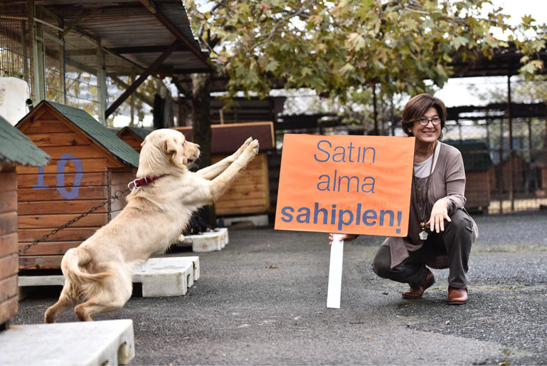 Haytap & Pakkan Okulları İş Birliği