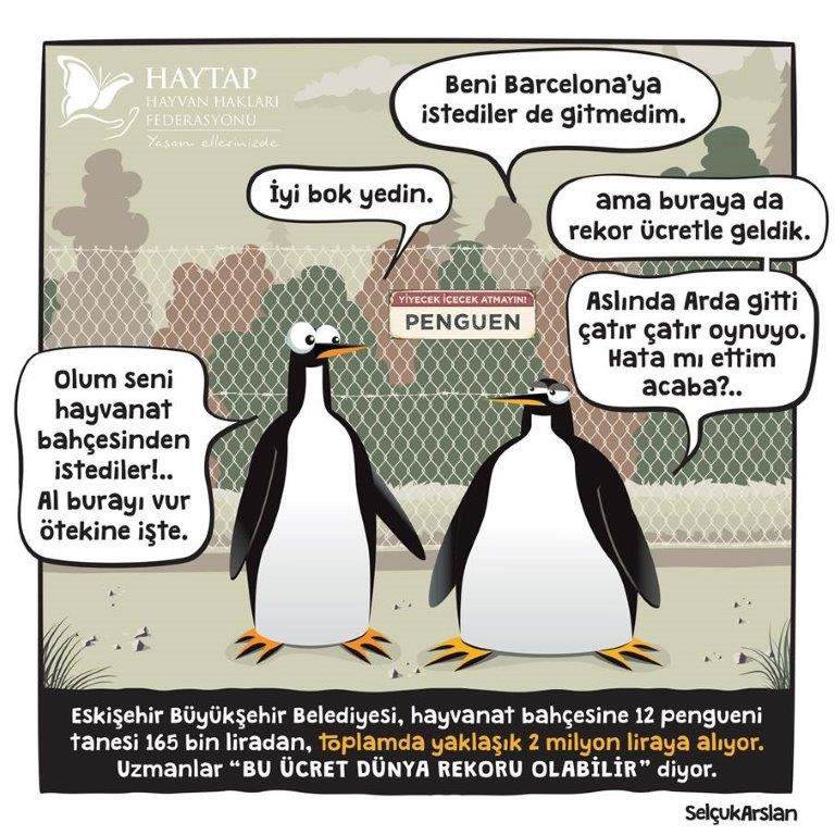 Yavrum bana oradan iyisinden 10 tane penguen paket yapar mısın?