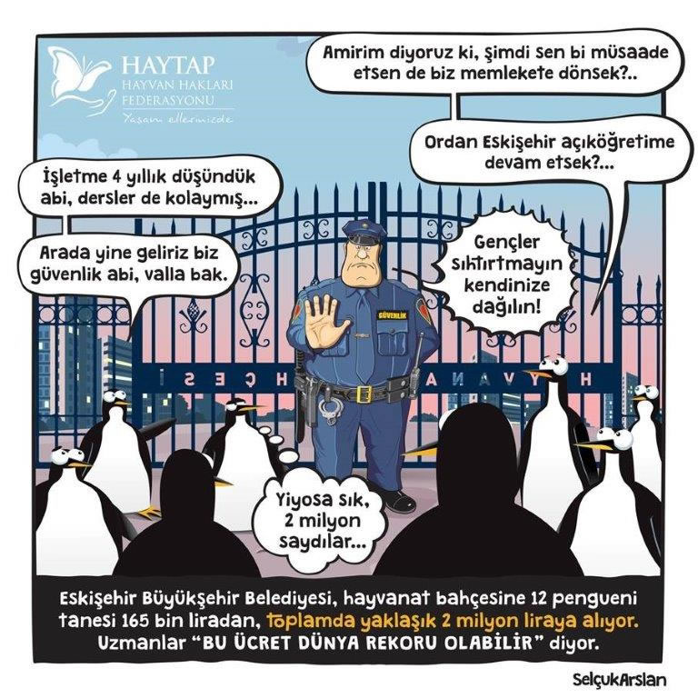 Eskişehirli’lere Büyük Hizmet! Her Şeyiniz Tamam Pengueniniz Eksik!