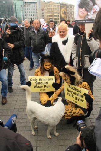 PETA Haytap ile Birlikte Kürk Gerçeğini Vurgulamak İçin Buz Gibi Havada Istanbul’da  idi !