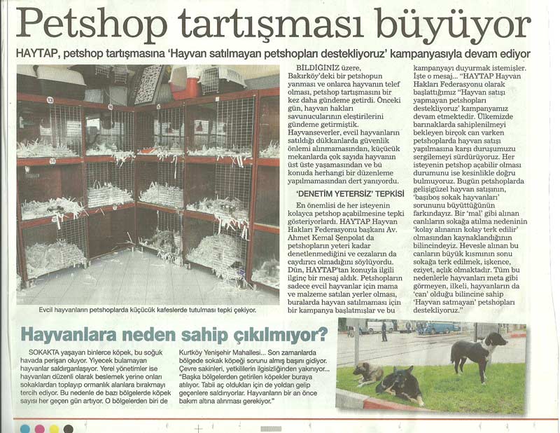 HAYTAP, ’’Hayvan Satılmayan Petshopları Destekliyoruz’’ Kampanyasına Devam Ediyor - Habertürk