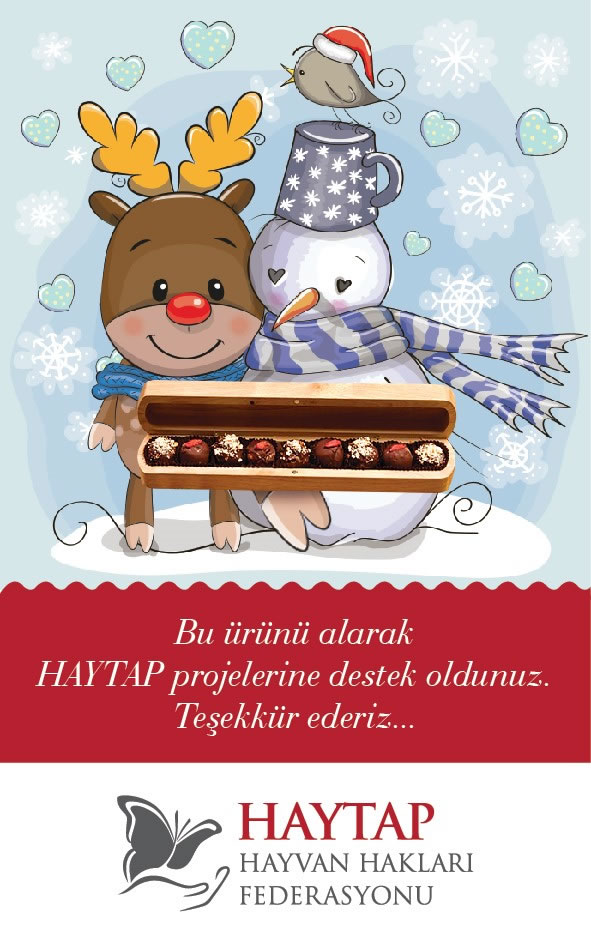 How Can You Support Haytap Projects in The New Year?