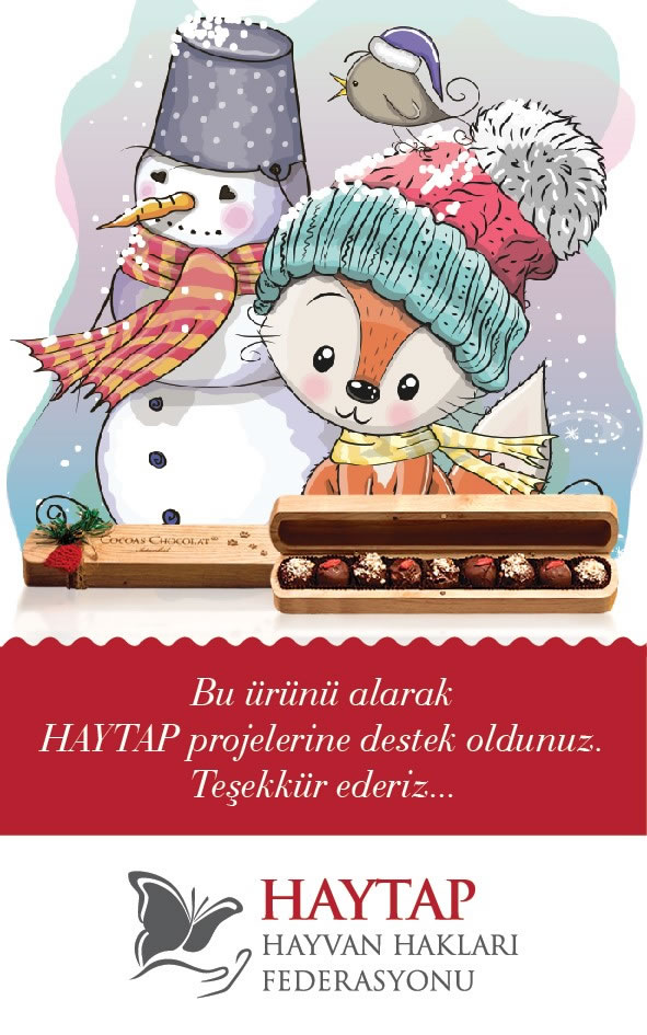 How Can You Support Haytap Projects in The New Year?