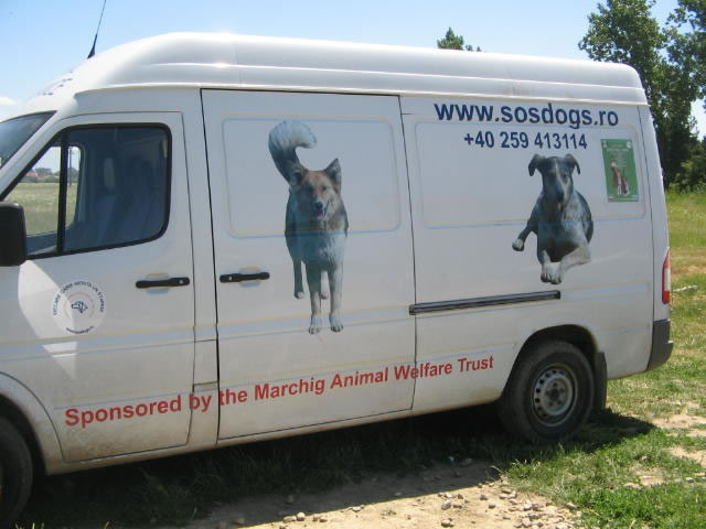 (*) An Exemplary Project For Stray Animals