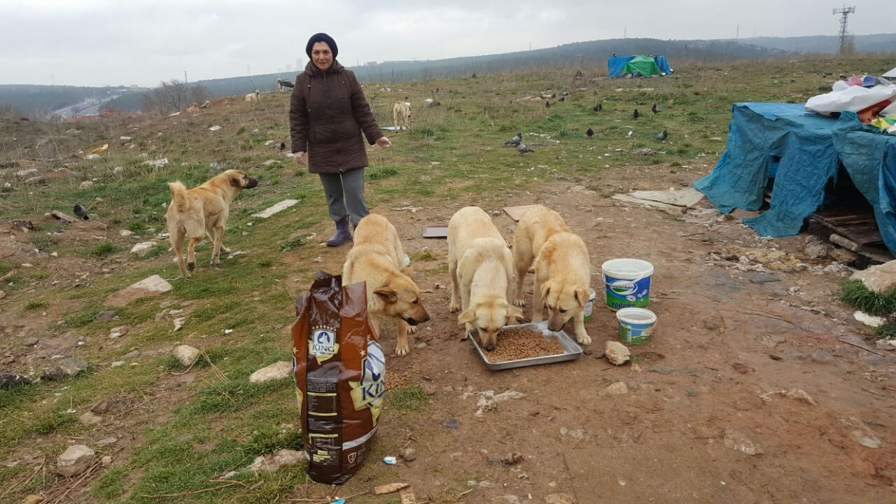 HAYTAP Ankara Saha Çalışmasında