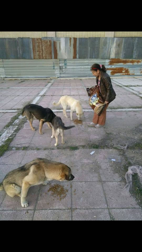 HAYTAP Ankara Saha Çalışmasında