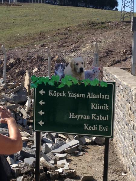 Haytap 5. Ulusal Temsilciler Toplantımız - Samsun’da Örnek  Hayvan Bakım Evi- 