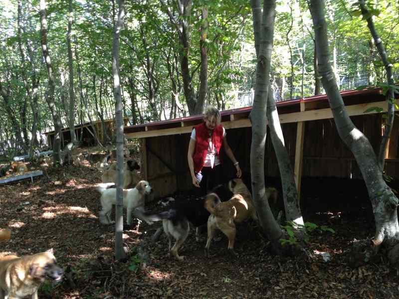 Haytap 5. Ulusal Temsilciler Toplantımız - Samsun’da Örnek  Hayvan Bakım Evi- 