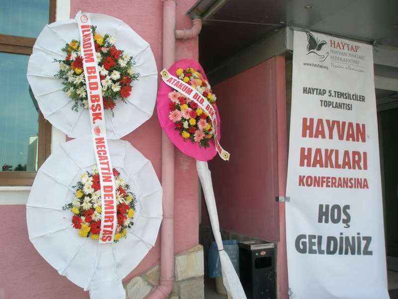 Haytap 5. Ulusal Temsilciler Toplantımız - Samsun’da Örnek  Hayvan Bakım Evi- 