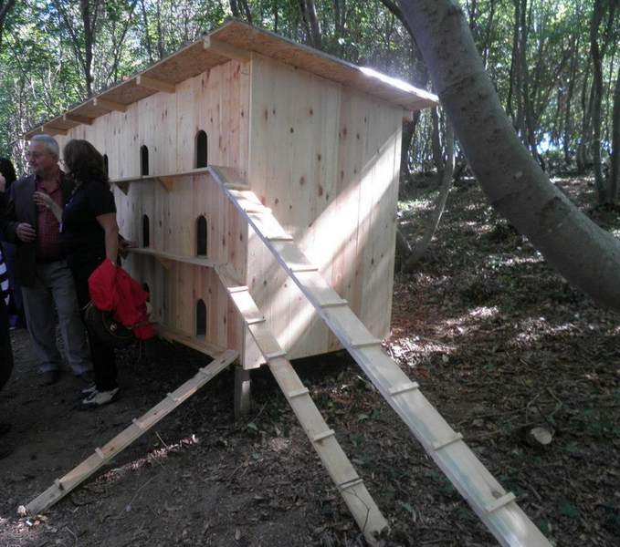 Haytap 5. Ulusal Temsilciler Toplantımız - Samsun’da Örnek  Hayvan Bakım Evi- 