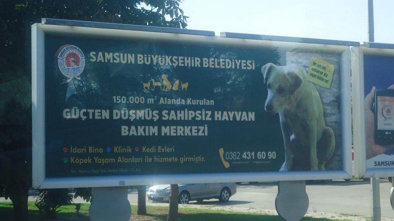 Haytap 5. Ulusal Temsilciler Toplantımız - Samsun’da Örnek  Hayvan Bakım Evi- 