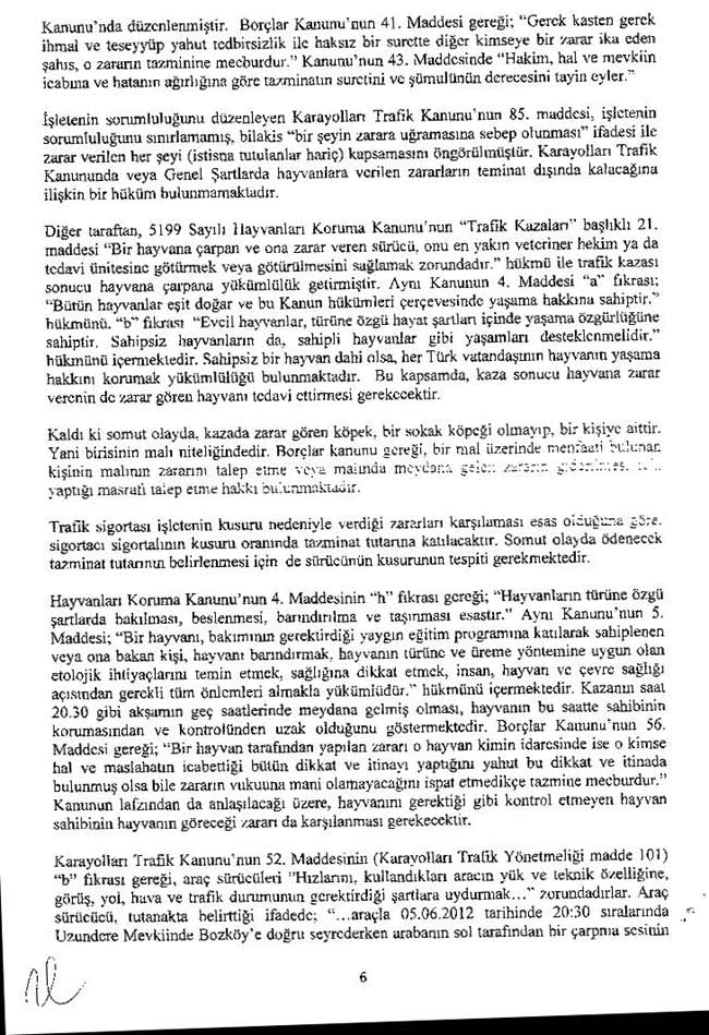 Sigorta, Hayvan Yaralanmasında Riski Karşıladı