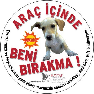 Araç İçinde Beni Bırakma ! Suyumu Unutma ! Petshoptan Alma !