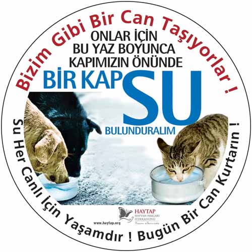 Araç İçinde Beni Bırakma ! Suyumu Unutma ! Petshoptan Alma !