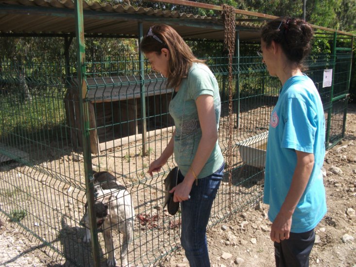 Haytap 2013 Takvim Geliri  Antakya Bakımevin’de