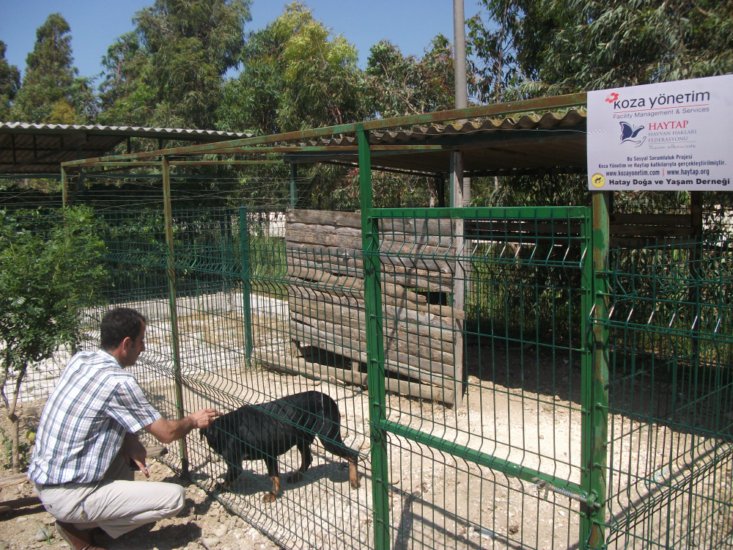 Haytap 2013 Takvim Geliri  Antakya Bakımevin’de