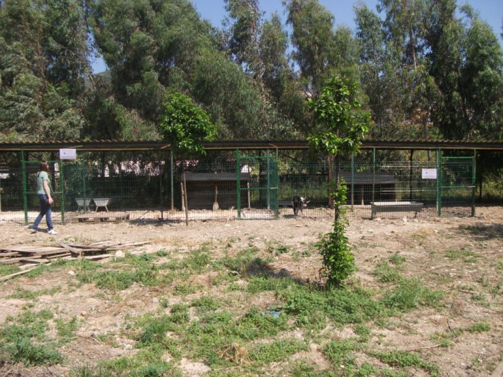 Haytap 2013 Takvim Geliri  Antakya Bakımevin’de