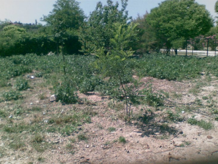 Haytap 2013 Takvim Geliri  Antakya Bakımevin’de