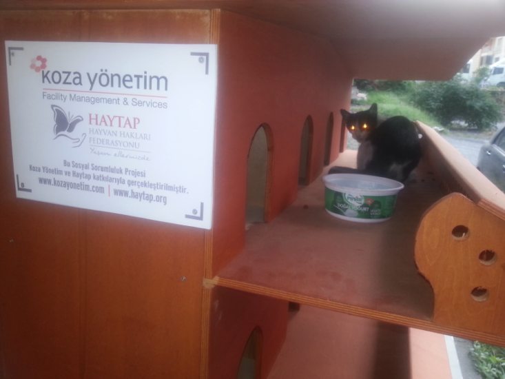 Haytap 2013 Takvim Geliri Bartın’da Kedi Evi Oldu