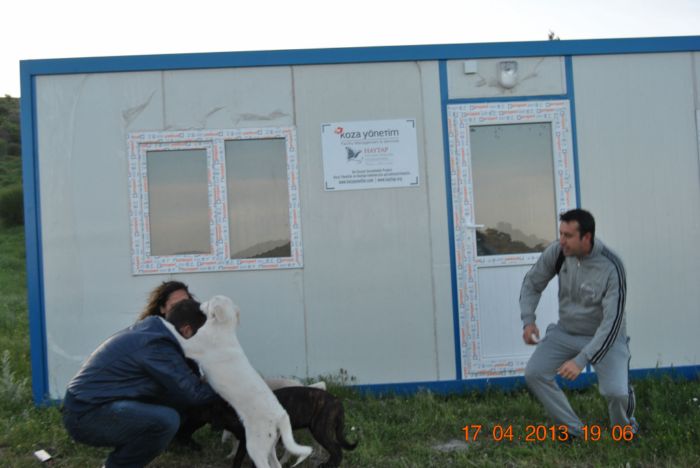 Haytap 2013 Takvim Geliri Çandarlı  Bakımevi İçin Konteynır