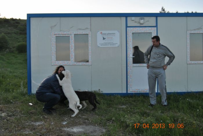 Haytap 2013 Takvim Geliri Çandarlı  Bakımevi İçin Konteynır