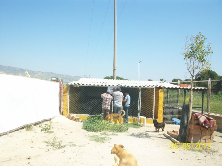 Haytap 2013 Takvim Geliri Denizli Sarayköy Bakımevinde