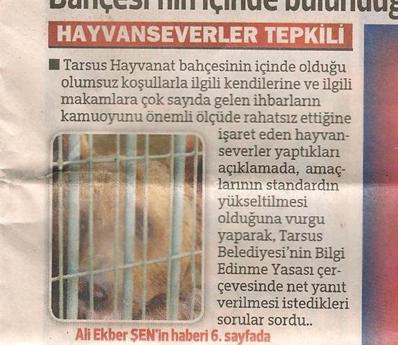 Tarsus Hayvanat Bahçesine Tepkimiz - DHA