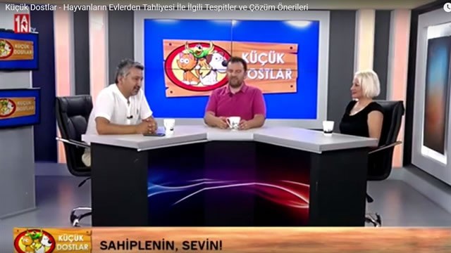 Hayvanların Evlerden Tahliyesi - Sokak Hayvanlarının Beslenmesi -  Çözüm Önerileri