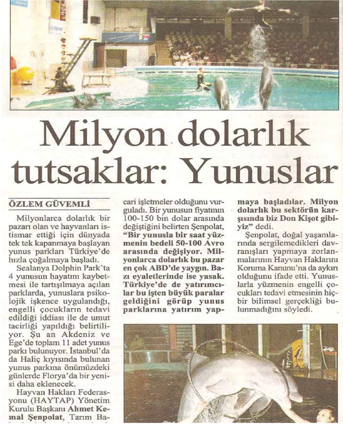 Yunus Parklarının Kapatılması İçin Uluslararası Hayvan Hakları Mahkemesine Başvuru Dilekçemiz