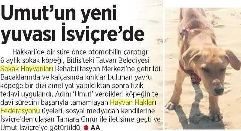 BASINDA HAYTAP