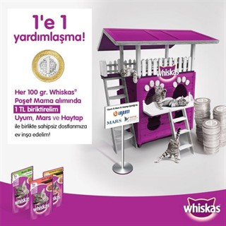 Haytap 2016 Yılında Neler Yaptı?