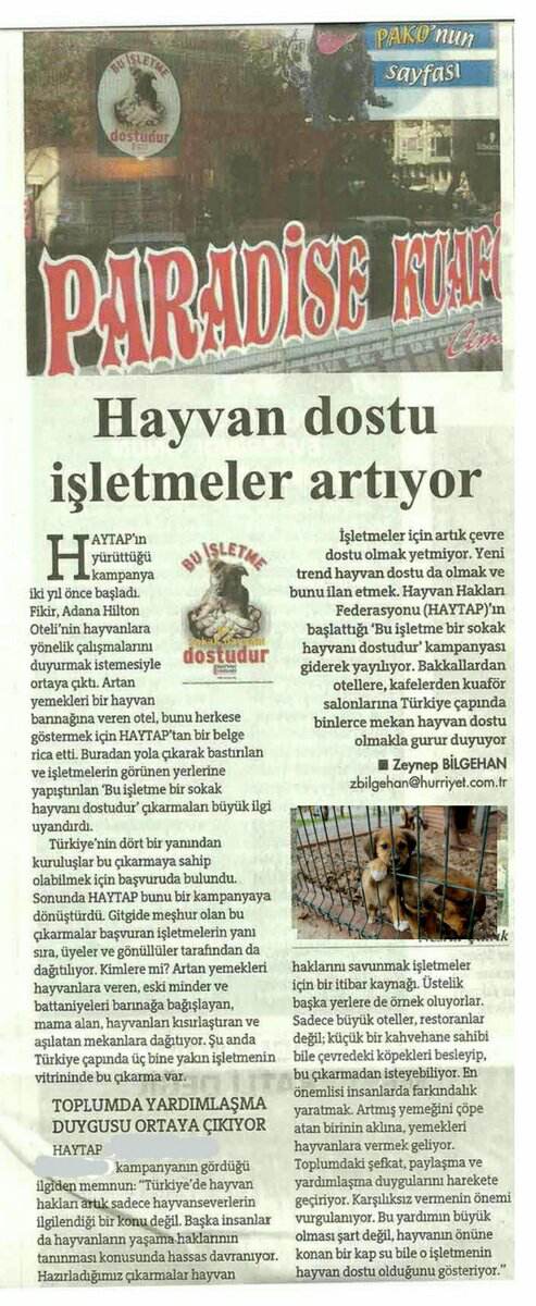 Haytap Kampanyası ’’Bu işletme Bir Sokak Hayvanı Dostudur’’ - Hürriyet