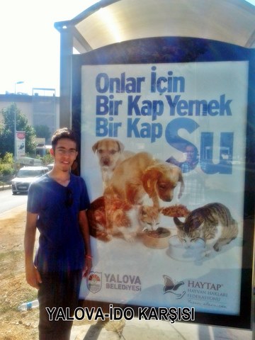 Yalova Caddeleri Haytap Görselleri İle Donatıldı...