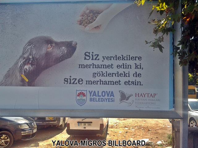 Yalova Caddeleri Haytap Görselleri İle Donatıldı...