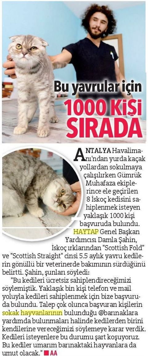 Bu Yavrular İçin 1000 Kişi Sırada