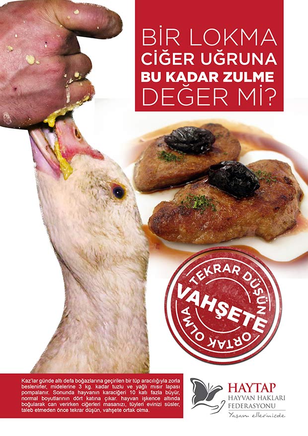 Bir Lokma Ciğer Uğruna Değer mi ?