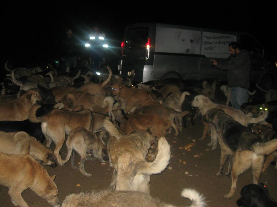 HAYTAP Yılbaşında ’’Onlar Doysun’’  Çalışması Başlattı - Yılbaşından Artan Yemekler Topladı.